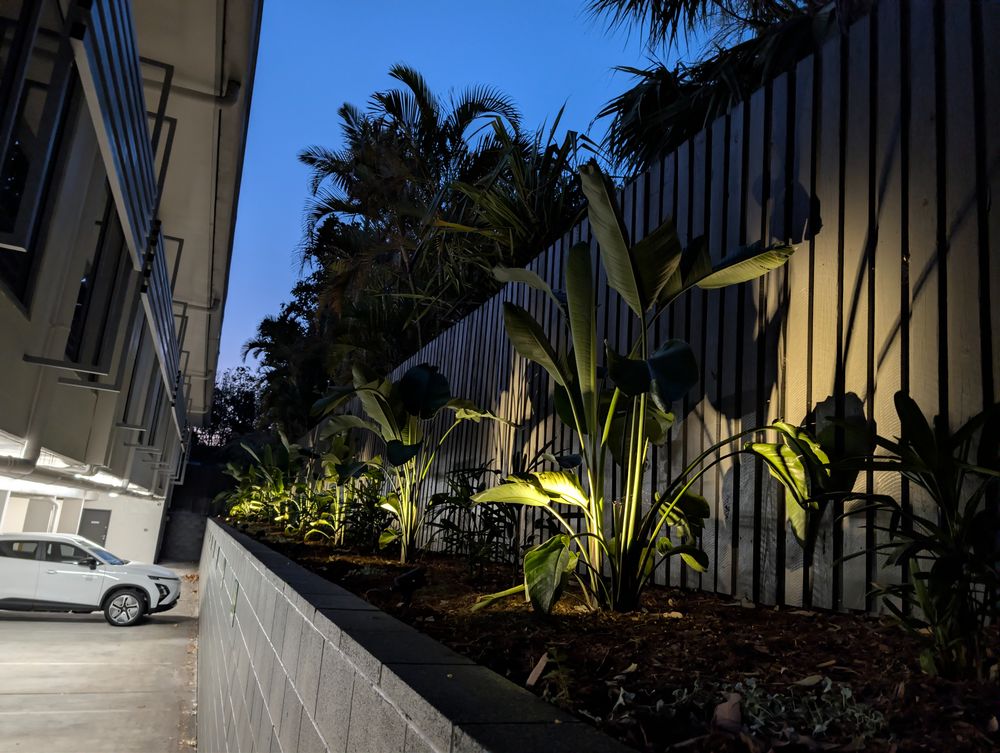 Commercial landscape uplighting along a garden bed and timber screen fence at dusk